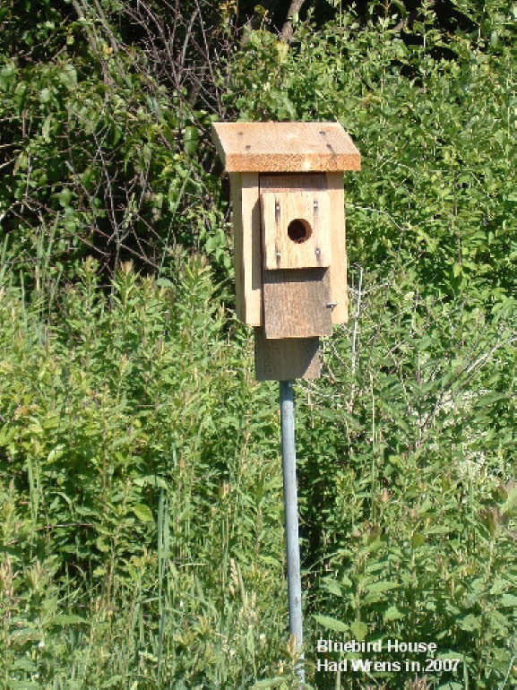 02a Bluebird House