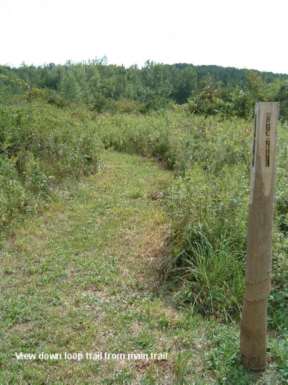 04 View Down Loop Trail