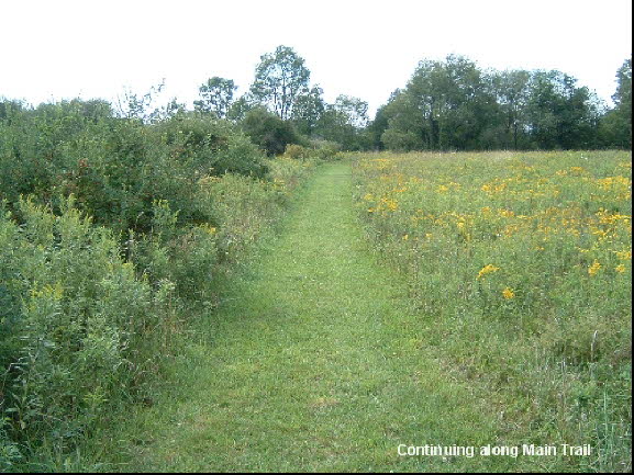 05 Continue Along Main Trail