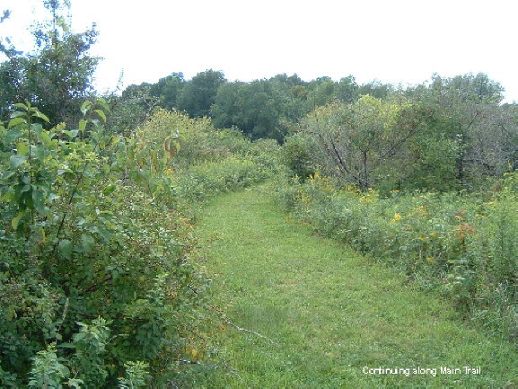 07 Continue Along Main Trail