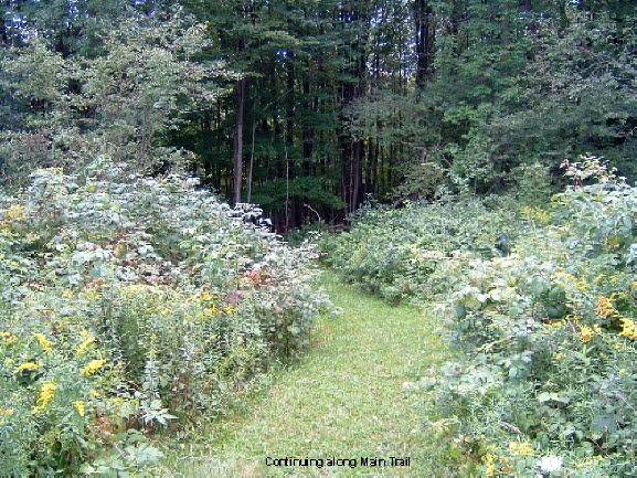 13 Main Trail