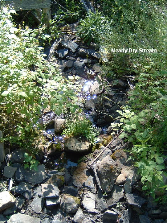 17a Stream Bed