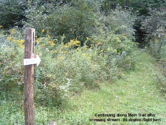 19 RightTurn After Stream Crossing