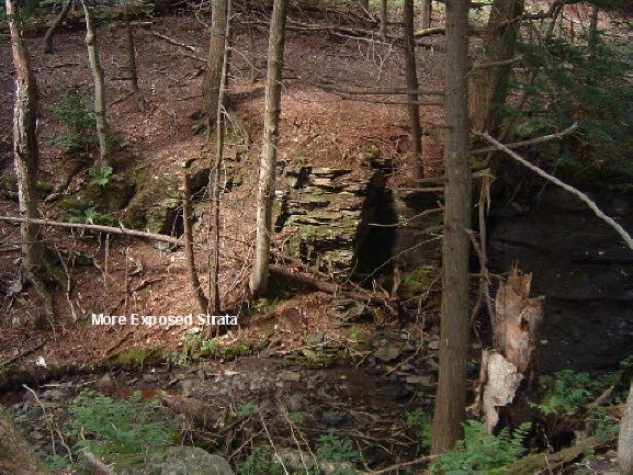 24a More Exposed Strata