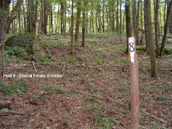 25 Post 8 - Glacial Erratic