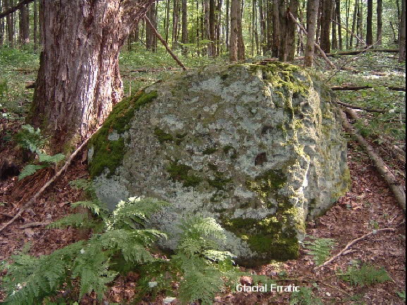25a Post 8 - Glacial Erratic