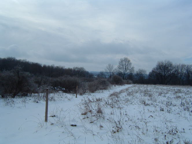 LRsnow0004