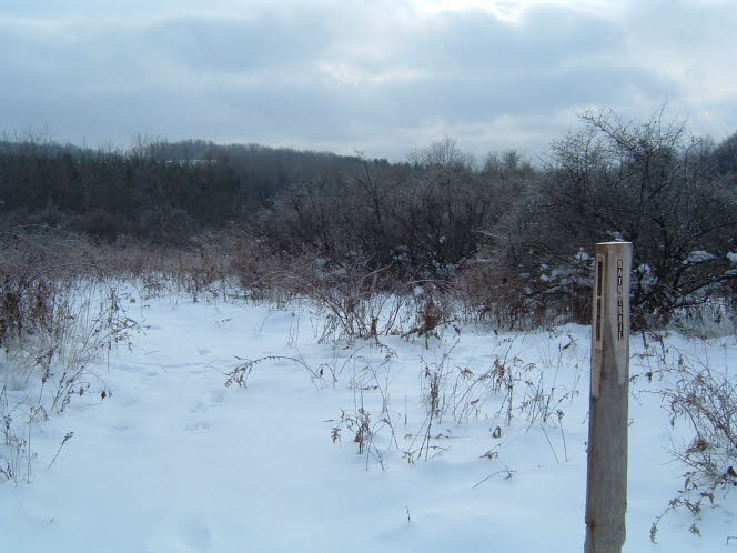LRsnow0005