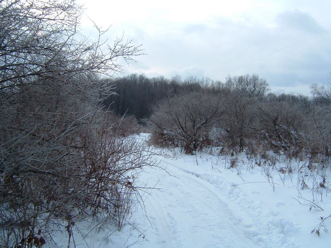 LRsnow0007