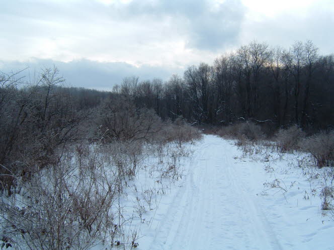 LRsnow0008