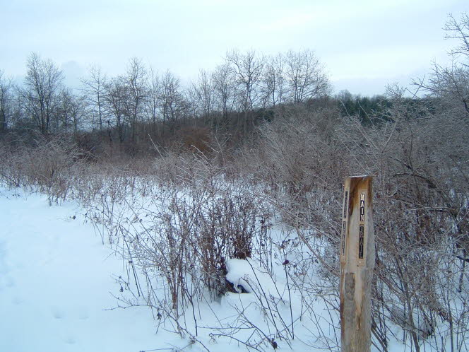 LRsnow0009