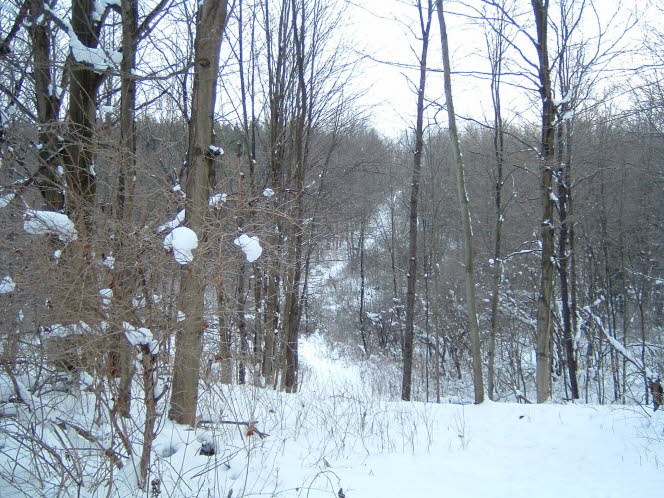 LRsnow0011
