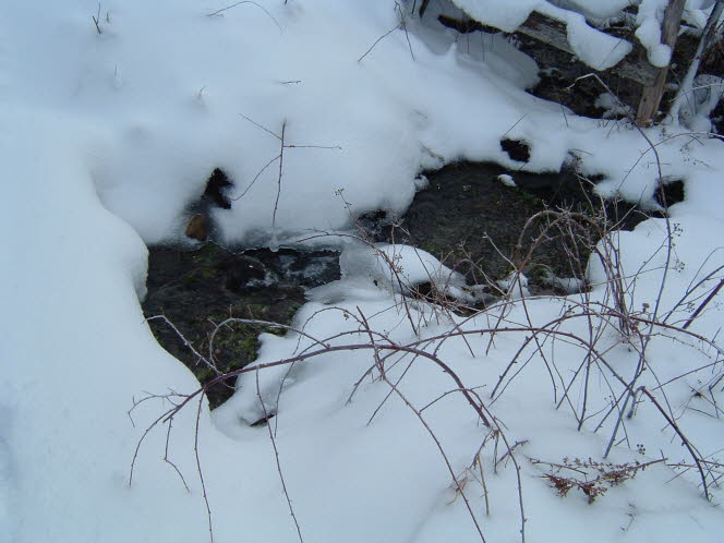 LRsnow0013