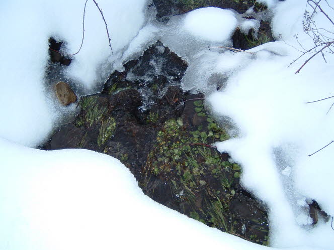 LRsnow0014