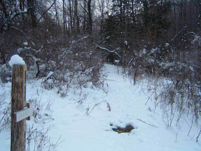 LRsnow0015