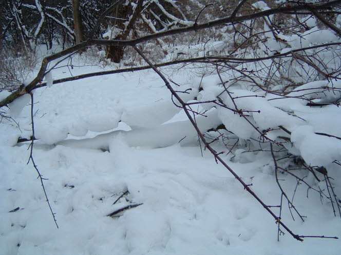 LRsnow0020