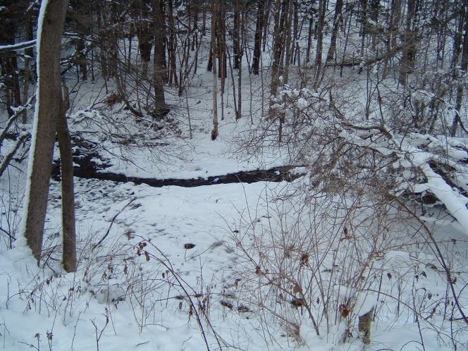 LRsnow0021