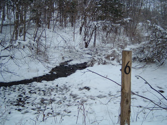 LRsnow0022