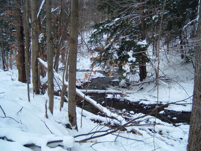 LRsnow0023