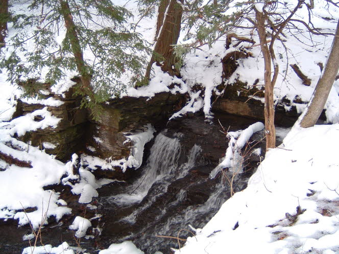 LRsnow0025