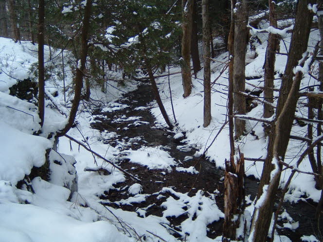 LRsnow0026