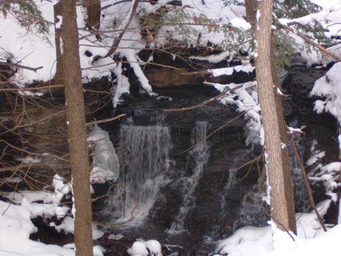 LRsnow0027