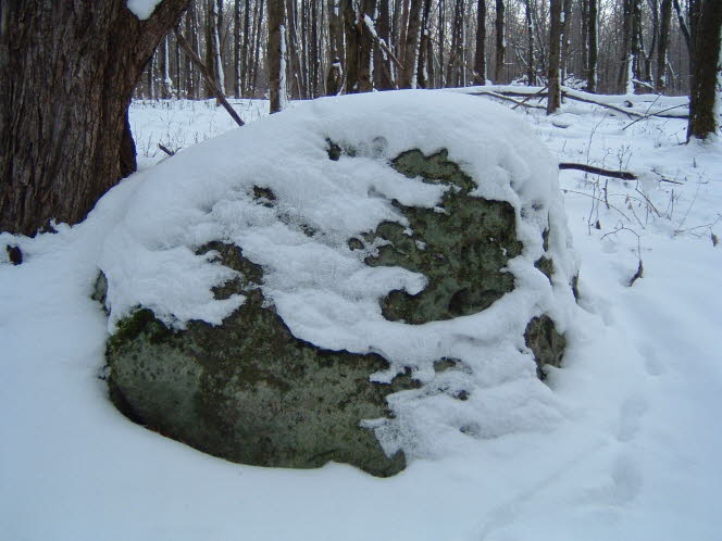 LRsnow0029