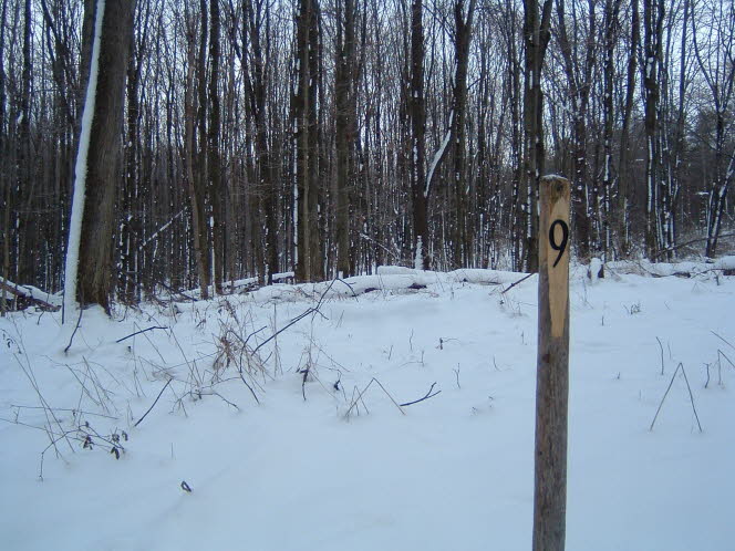 LRsnow0031