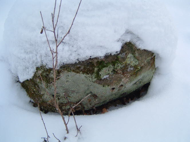 LRsnow0034