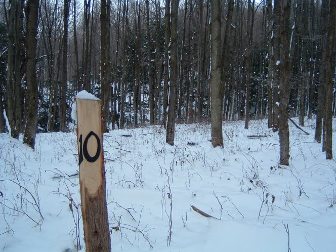 LRsnow0035