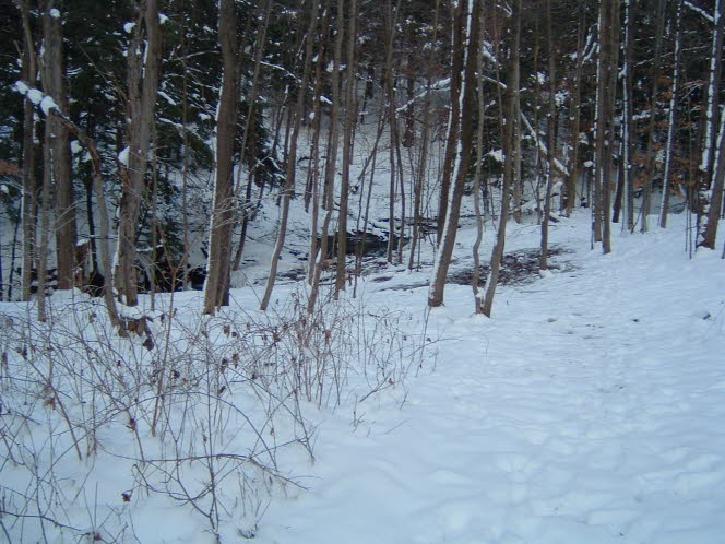 LRsnow0038