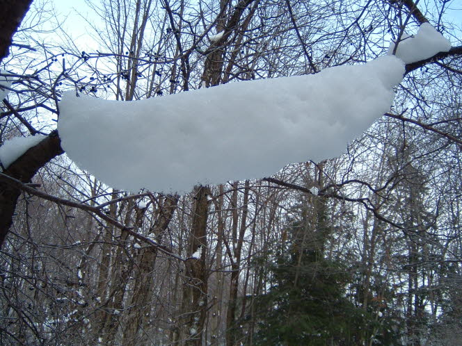 LRsnow0039