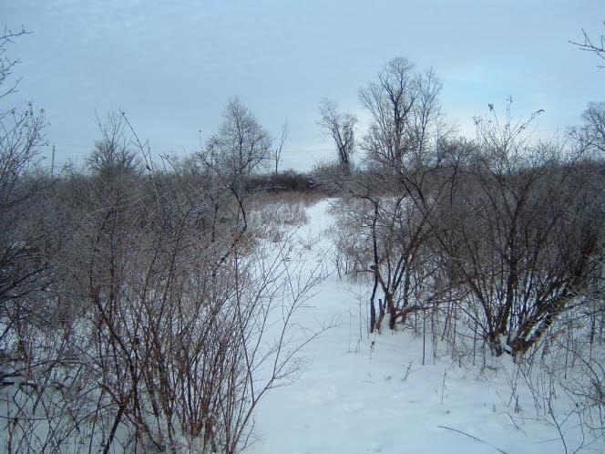 LRsnow0041