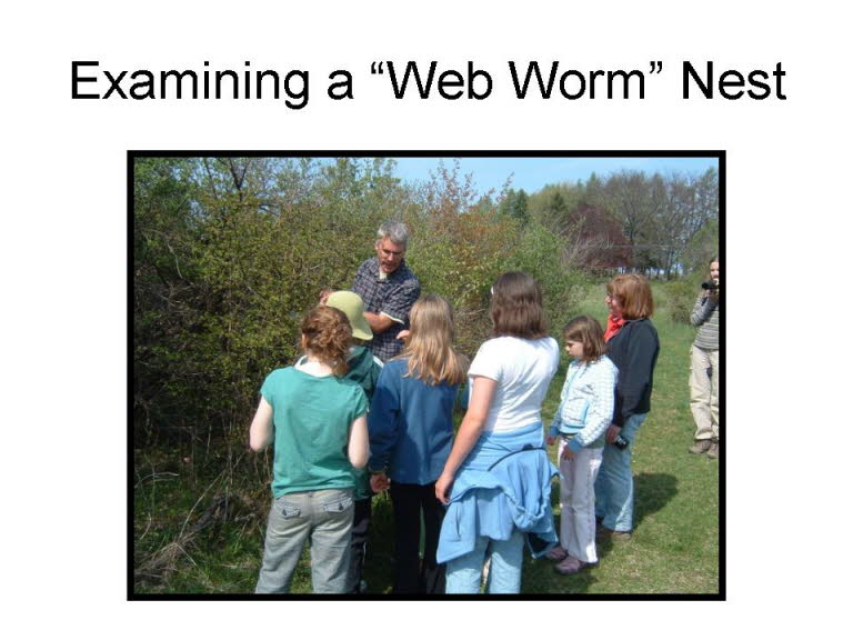 Slide07