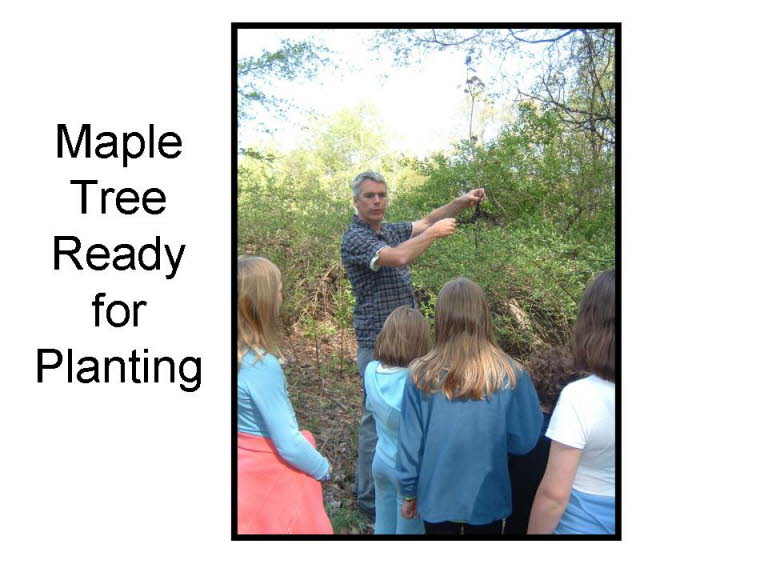 Slide10