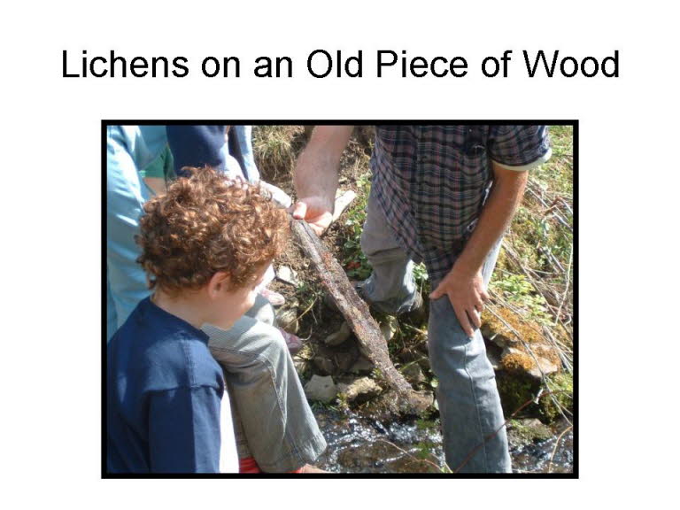 Slide12