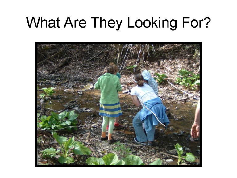 Slide15