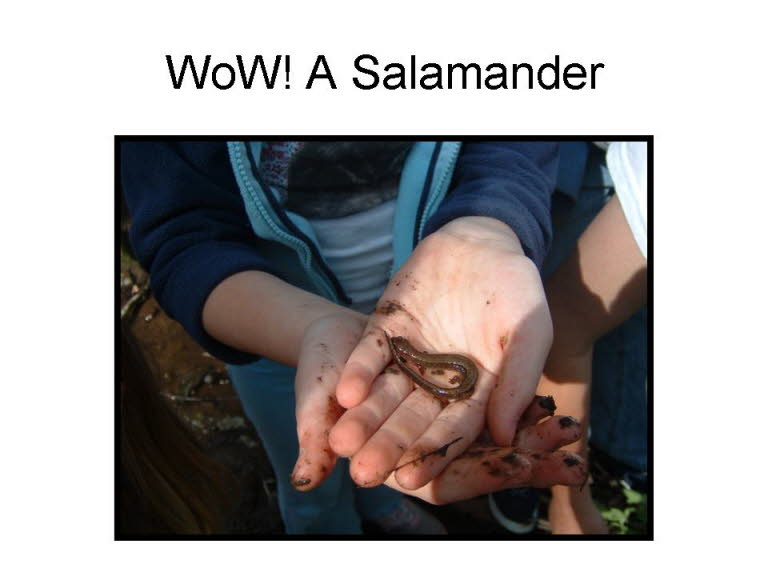Slide16