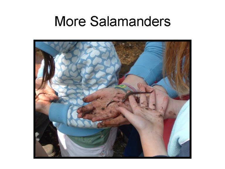 Slide17