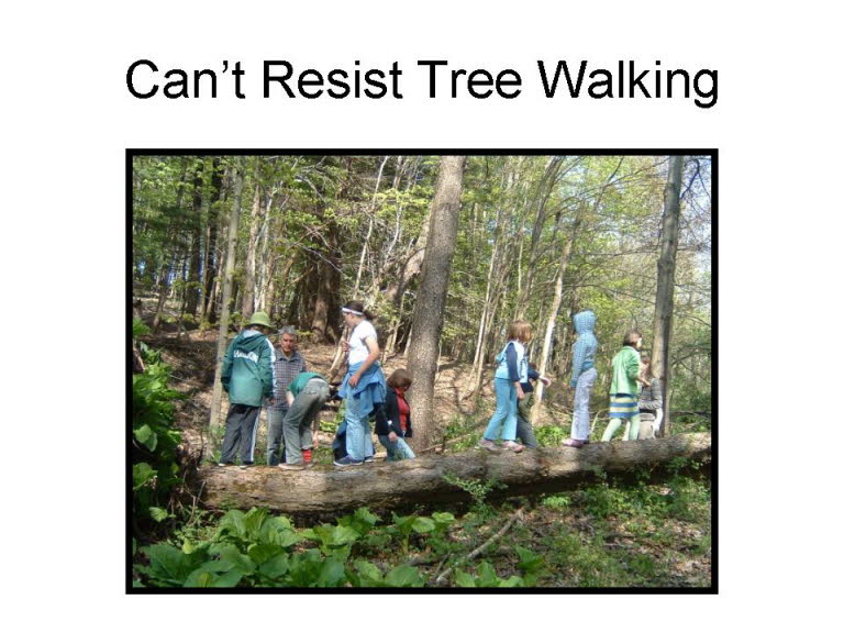 Slide18