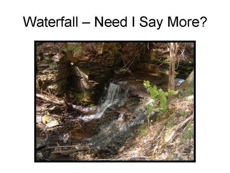 Slide19
