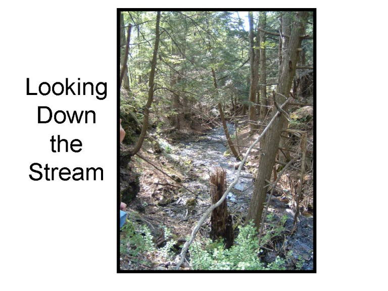 Slide20