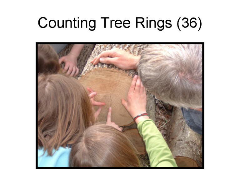 Slide23