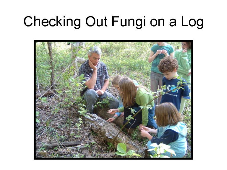 Slide24