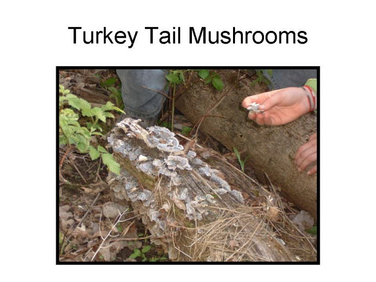 Slide25