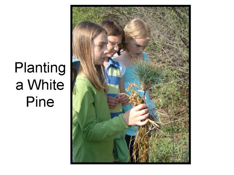 Slide28