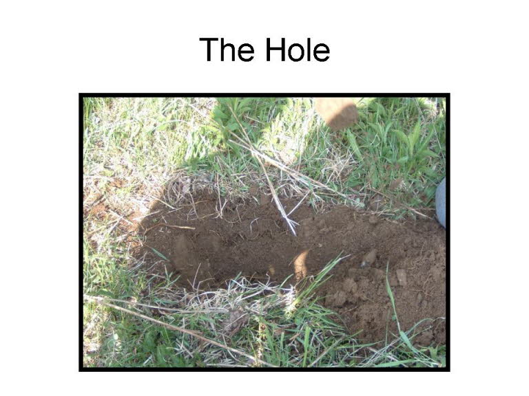 Slide29