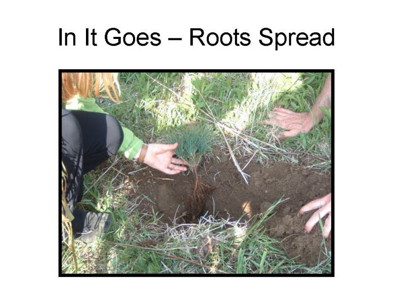 Slide30