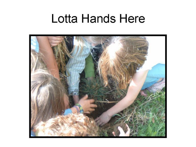 Slide31