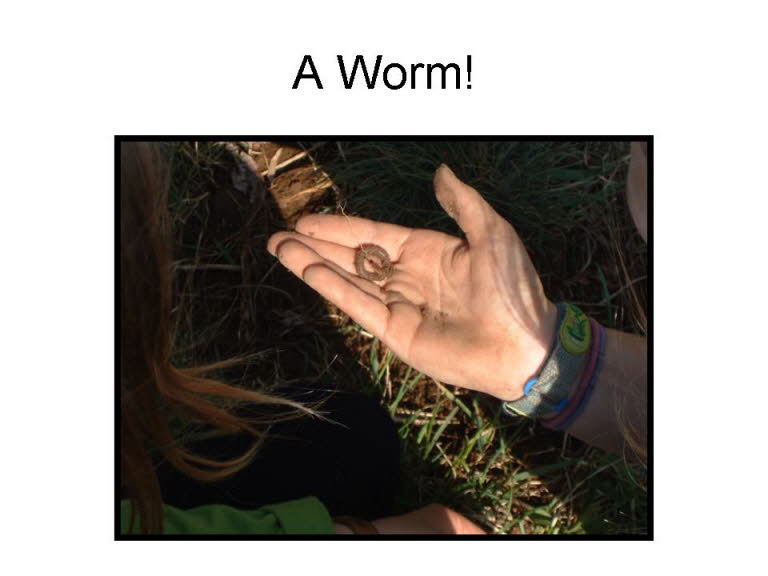 Slide32
